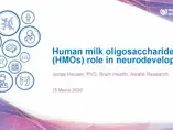 Human milk oligosaccharides (HMOs) role in neurodevelopment
