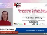Microbiota and the social brain - Dr. Siobhain O’Mahony