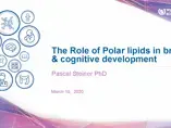The Role of Polar lipids in brain & cognitive development