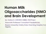 HMOs and brain development 