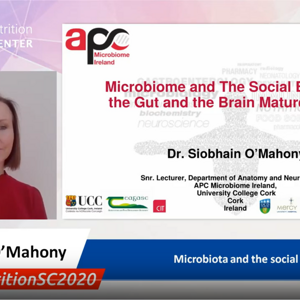 Microbiota and the social brain - Dr. Siobhain O’Mahony