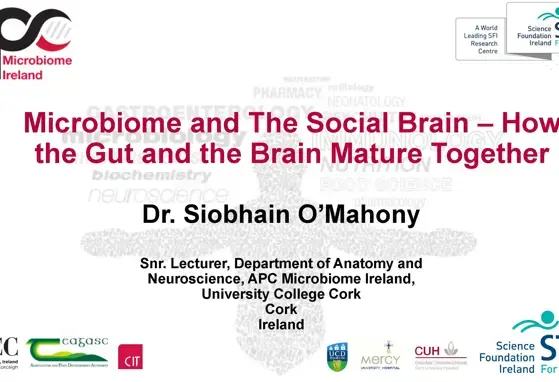 Microbiome and The Social Brain How the Gut and the Brain Mature Together Microbiome and The Social Brain How the Gut and the Brain Mature Together