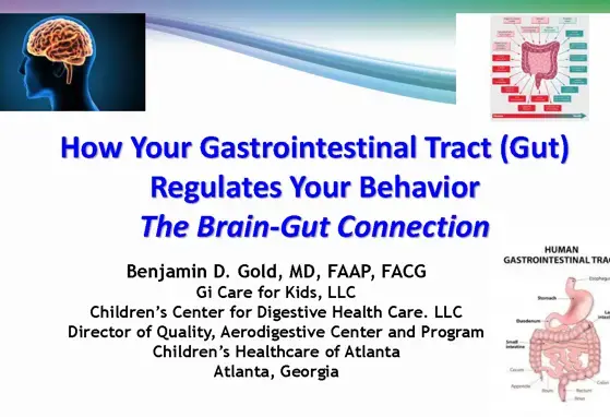 The Brain Gut Connection The Brain Gut Connection