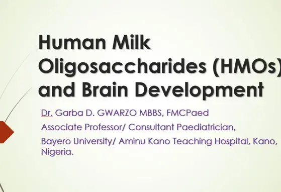 HMOs and brain development 