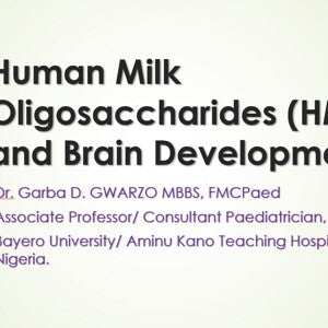 HMOs and brain development 