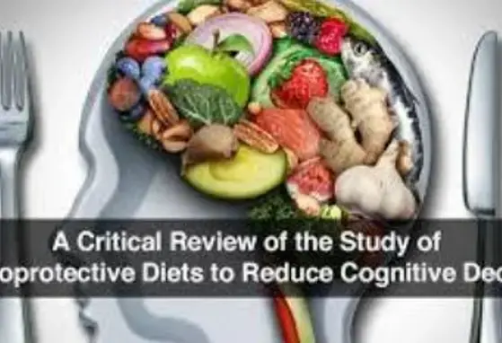 Effect of quality nutrition on human brain development 