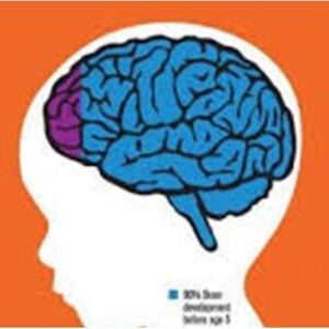 Nutrition and Learning in Early Childhood: The Cognitive Implications