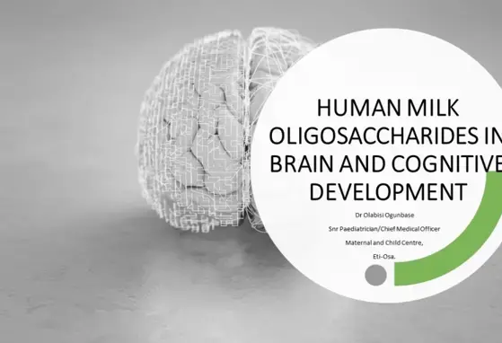 HMO and Cognitive development