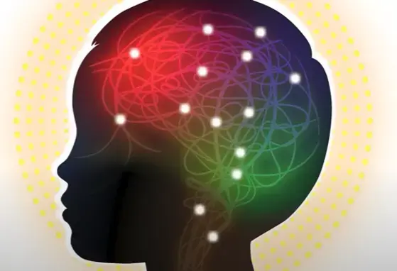 The Myelin Blend The Myelin Blend