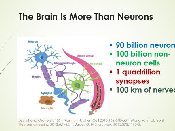 The Brain is more than Neurons