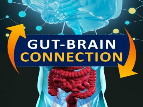 Nutrition and Learning in Early Childhood-The Cognitive Implication