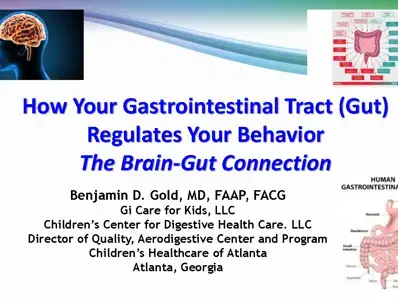 The Brain Gut Connection The Brain Gut Connection